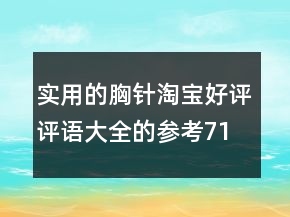 實(shí)用的胸針淘寶好評(píng)評(píng)語大全的參考71條