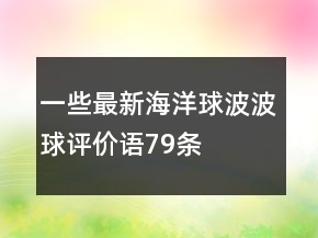一些最新海洋球、波波球評(píng)價(jià)語(yǔ)79條