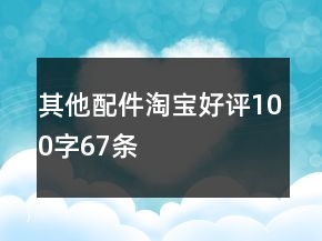 其他配件淘寶好評(píng)100字67條