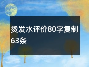 燙發(fā)水評價80字復(fù)制63條
