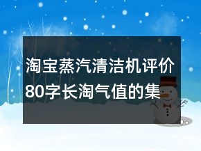 淘寶蒸汽清潔機(jī)評(píng)價(jià)80字長(zhǎng)淘氣值的集錦70條