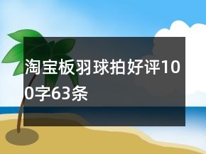 淘寶板羽球拍好評(píng)100字63條