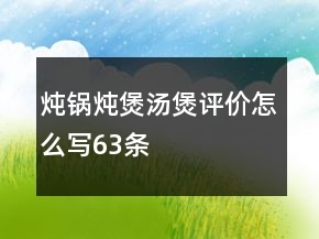 燉鍋、燉煲、湯煲評價怎么寫63條
