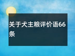 關(guān)于犬主糧評(píng)價(jià)語66條