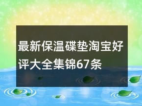 最新保溫碟、墊淘寶好評大全集錦67條