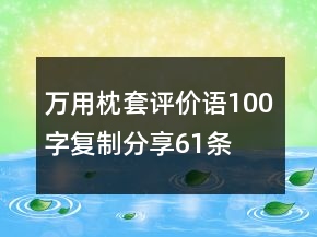 萬用枕套評(píng)價(jià)語100字復(fù)制分享61條