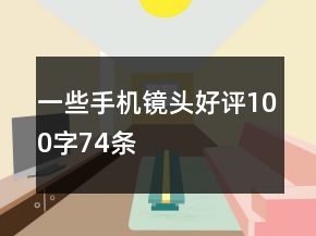 一些手機(jī)鏡頭好評(píng)100字74條
