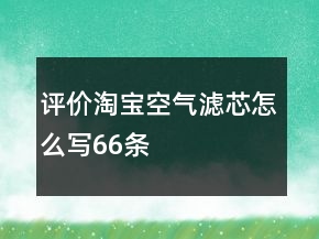 評價淘寶空氣濾芯怎么寫66條
