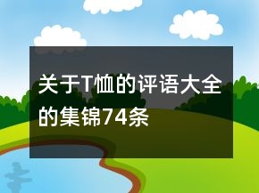關于T恤的評語大全的集錦74條