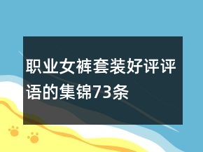 職業(yè)女褲套裝好評(píng)評(píng)語的集錦73條