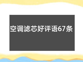 空調(diào)濾芯好評語67條