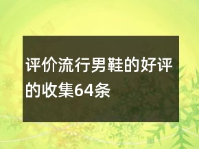 評價(jià)流行男鞋的好評的收集64條