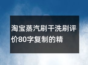 淘寶蒸汽刷、干洗刷評價80字復制的精選69條