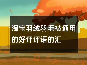 淘寶羽絨、羽毛被通用的好評(píng)評(píng)語(yǔ)的匯總72條