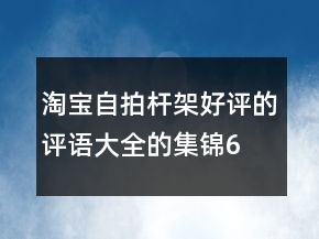 淘寶自拍桿、架好評的評語大全的集錦61條