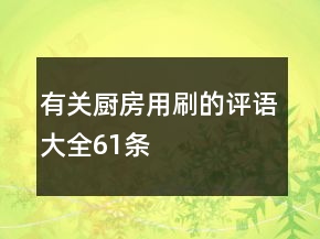 有關(guān)廚房用刷的評語大全61條