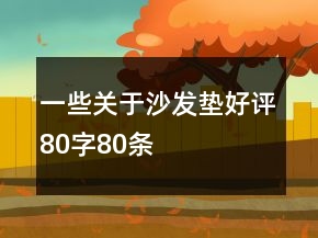 一些關于沙發(fā)墊好評80字80條