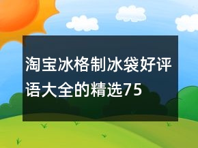 淘寶冰格、制冰袋好評(píng)語大全的精選75條