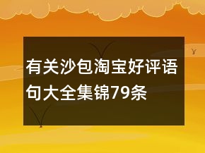有關(guān)沙包淘寶好評(píng)語(yǔ)句大全集錦79條