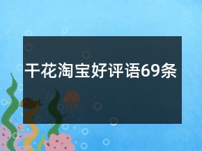 干花淘寶好評(píng)語69條
