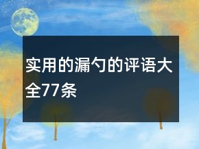 實(shí)用的漏勺的評(píng)語(yǔ)大全77條