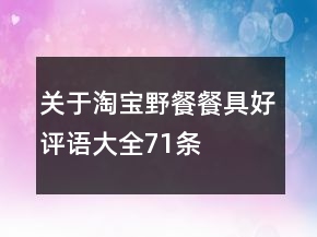 關于淘寶野餐餐具好評語大全71條