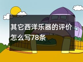 其它西洋樂(lè)器的評(píng)價(jià)怎么寫(xiě)78條
