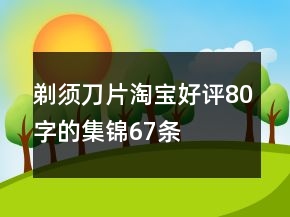 剃須刀片淘寶好評(píng)80字的集錦67條