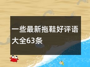 一些最新拖鞋好評語大全63條