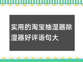 實(shí)用的淘寶抽濕器、除濕器好評(píng)語(yǔ)句大全77條