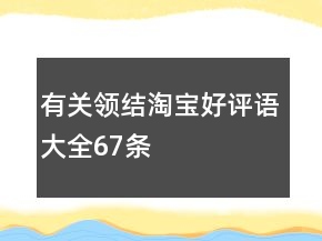 有關(guān)領(lǐng)結(jié)淘寶好評語大全67條