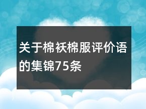 關于棉襖、棉服評價語的集錦75條
