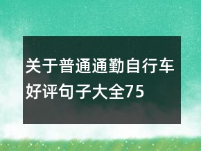 關(guān)于普通、通勤自行車好評(píng)句子大全75條
