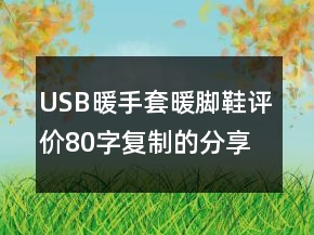 USB暖手套、暖腳鞋評價80字復制的分享63條