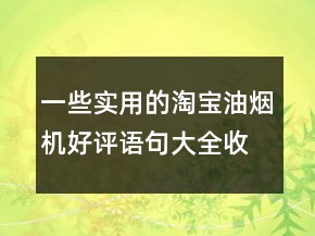 一些實(shí)用的淘寶油煙機(jī)好評(píng)語(yǔ)句大全收集72條