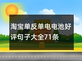 淘寶單反、單電電池好評句子大全71條