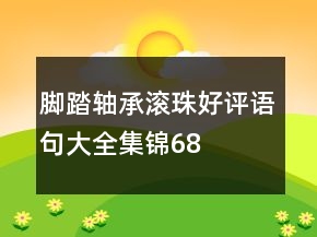 腳踏、軸承、滾珠好評語句大全集錦68條