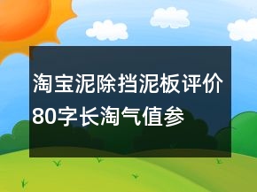 淘寶泥除、擋泥板評價(jià)80字長淘氣值參考66條