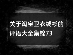 關(guān)于淘寶衛(wèi)衣、絨衫的評(píng)語(yǔ)大全集錦73條