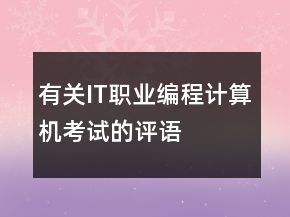 有關(guān)IT職業(yè)、編程、計(jì)算機(jī)考試的評(píng)語(yǔ)大全65條