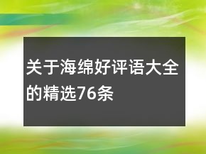 關于海綿好評語大全的精選76條