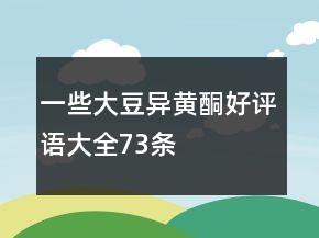 一些大豆異黃酮好評語大全73條
