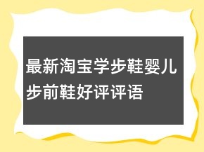 最新淘寶學(xué)步鞋、嬰兒步前鞋好評(píng)評(píng)語(yǔ)分享61條