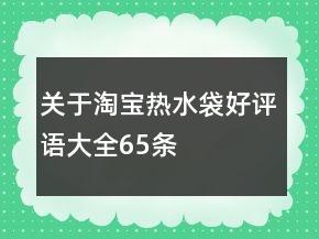 關于淘寶熱水袋好評語大全65條