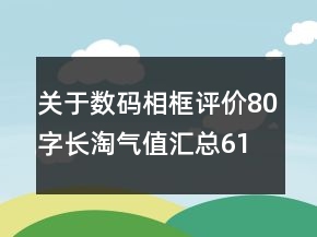 關(guān)于數(shù)碼相框評(píng)價(jià)80字長(zhǎng)淘氣值匯總61條