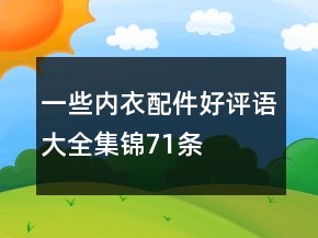 一些內(nèi)衣配件好評語大全集錦71條