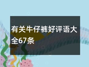 有關(guān)牛仔褲好評語大全67條