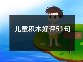 兒童積木好評51句