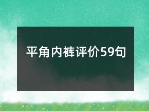 平角內(nèi)褲評價(jià)59句