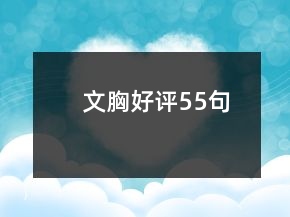 文胸好評(píng)55句